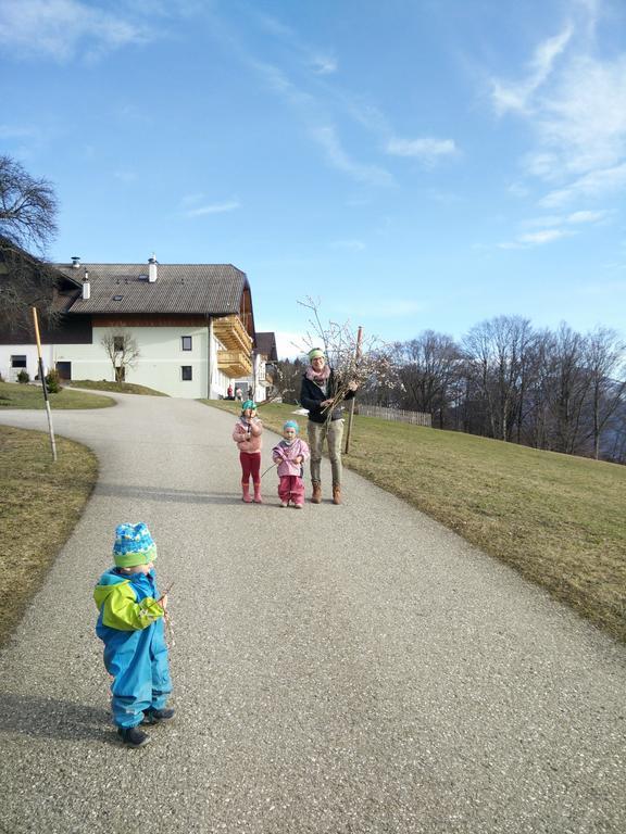 Panoramahof Manzberg Apartment Mondsee Exterior photo