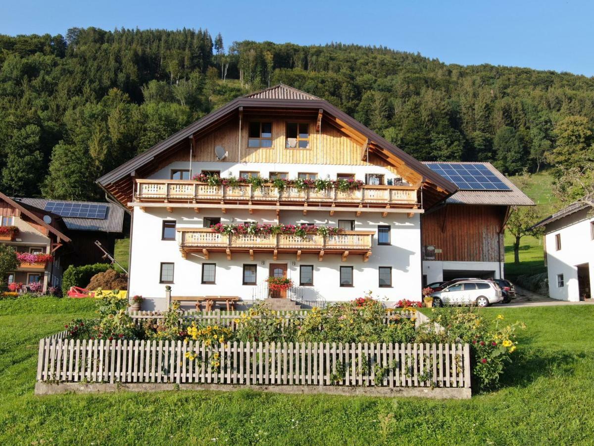 Panoramahof Manzberg Apartment Mondsee Exterior photo